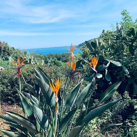 Case Dei Limoni Sul Mare กาโปลิเวรี ภายนอก รูปภาพ