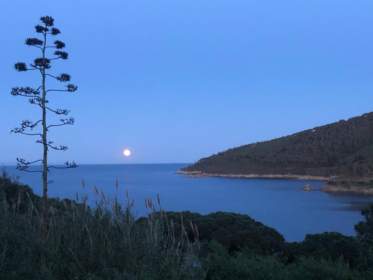 Case Dei Limoni Sul Mare กาโปลิเวรี ภายนอก รูปภาพ