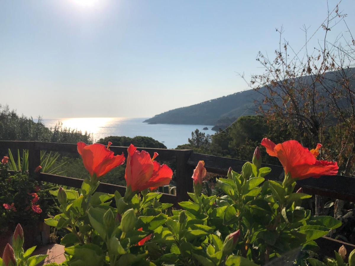 Case Dei Limoni Sul Mare กาโปลิเวรี ภายนอก รูปภาพ