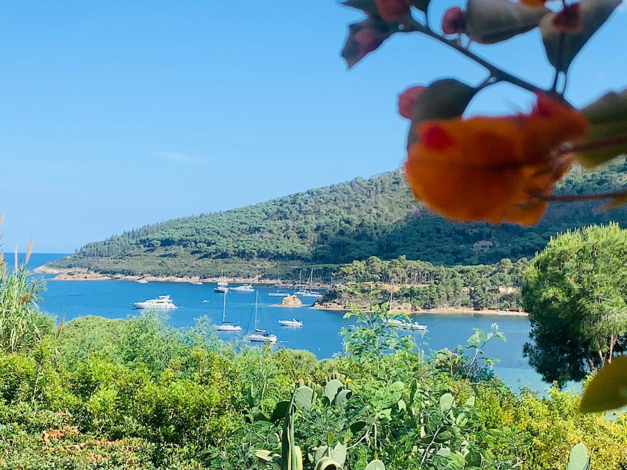 Case Dei Limoni Sul Mare กาโปลิเวรี ภายนอก รูปภาพ